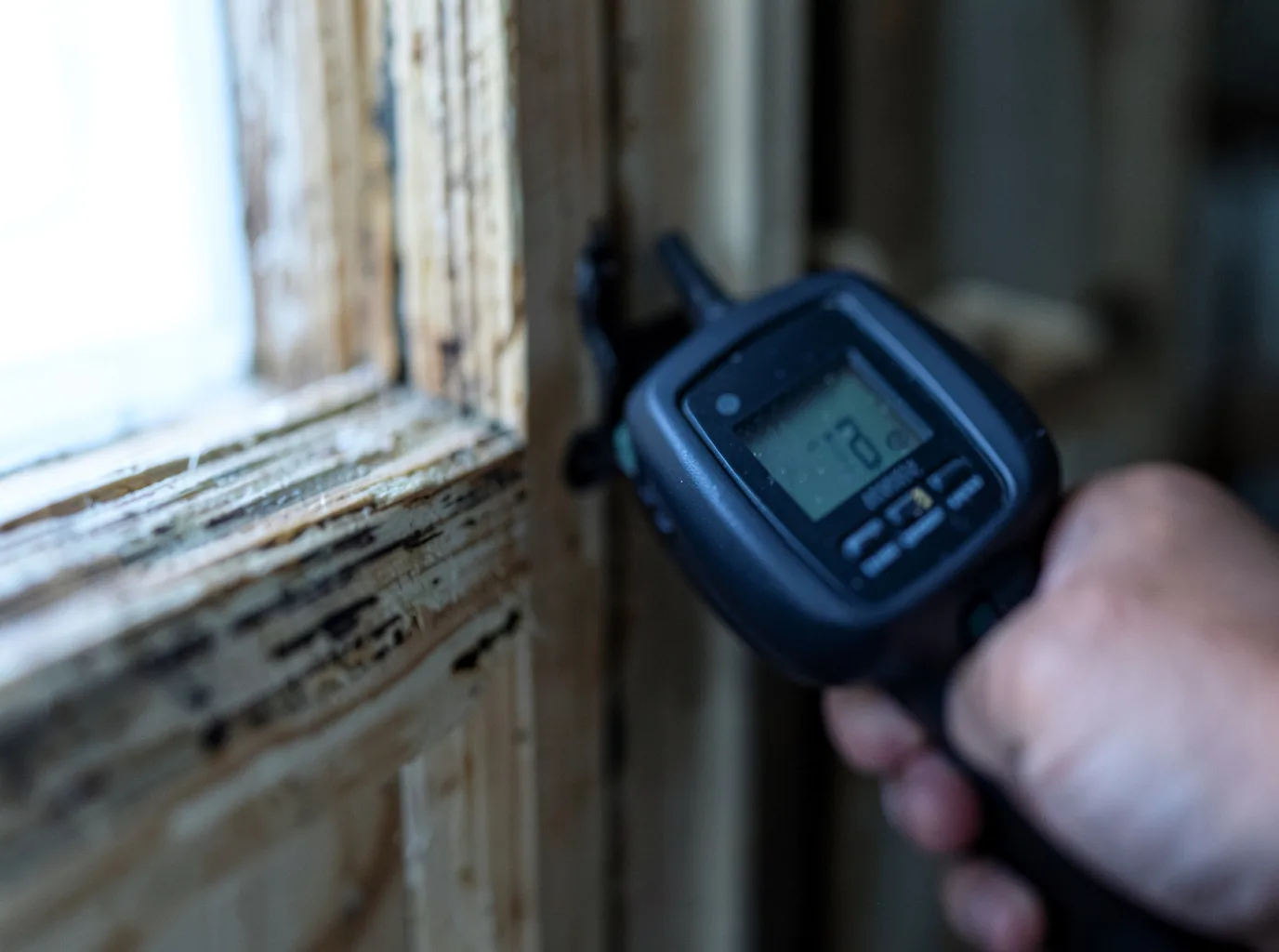 Water Damage Restoration Anthony, FL FAQs